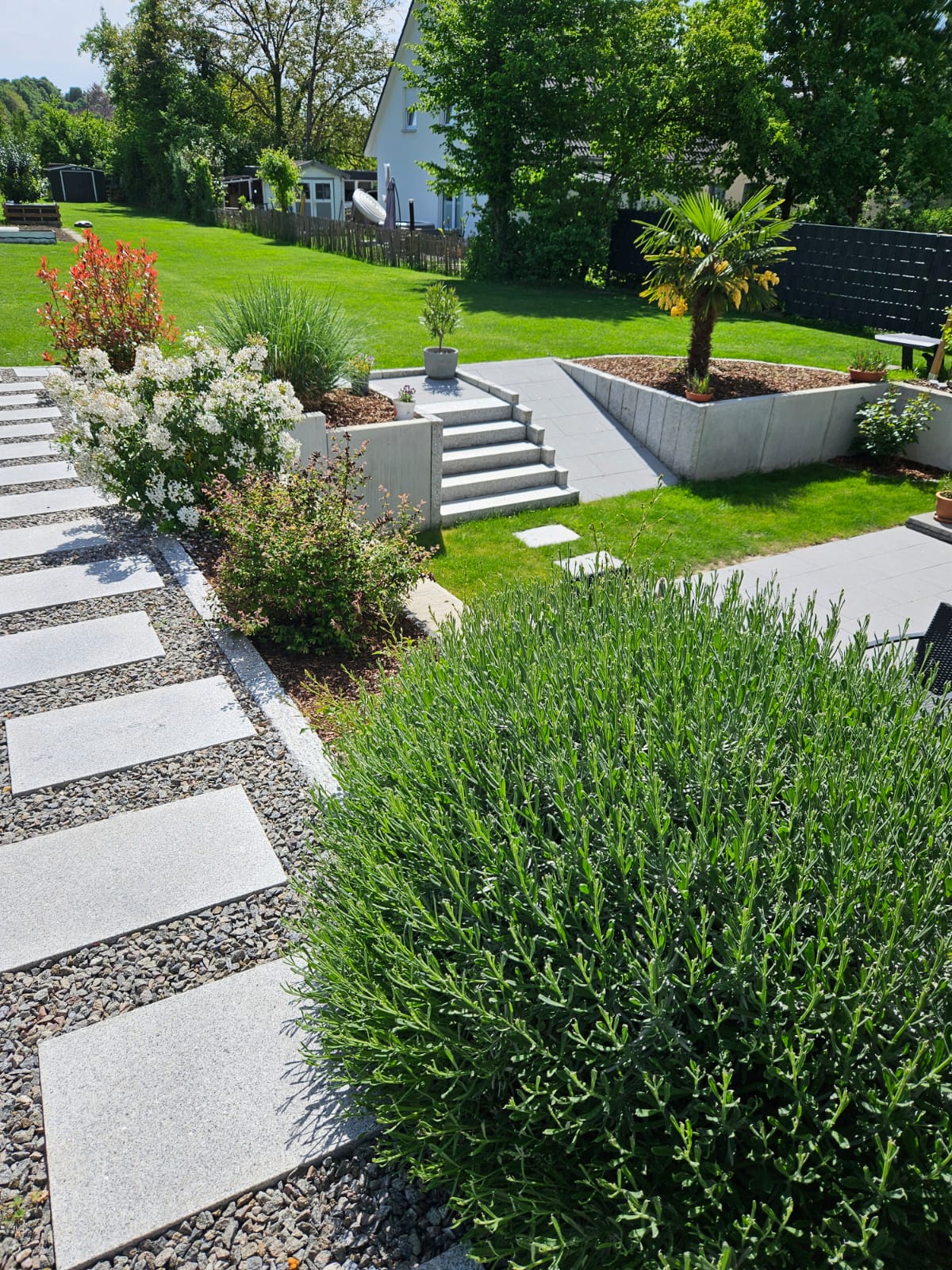 Gartenweg mit Lavendel
